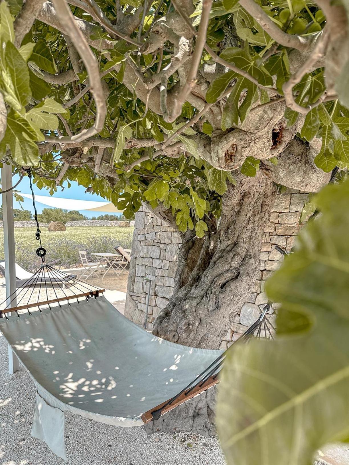 Masseria Pavone Martina Franca Exteriér fotografie